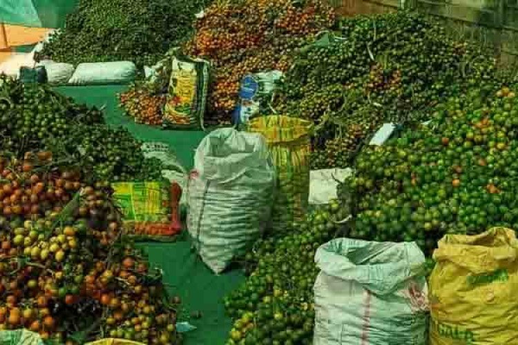 ಇಂದಿನ ಅಡಿಕೆ ಧಾರಣೆ: ಶಿವಮೊಗ್ಗ ಮತ್ತು ರಾಜ್ಯದ ವಿವಿಧ ಮಾರುಕಟ್ಟೆಗಳ ಬೆಲೆ ವಿವರ, Todays Arecanut Price Shimoga and Karnataka State Market Rate Details