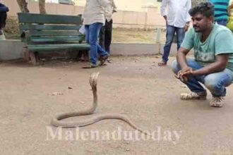 Cobra spotted in Sagar Rural police station premises