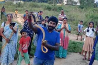 snake kiran shimoga phone number