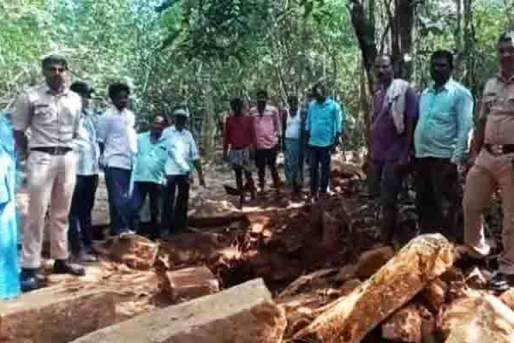 image_750x500_6387af12801a4