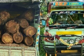 image_750x500_638f2a2f6accd