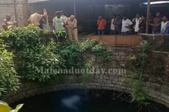 image_750x500_638f2e11b7373