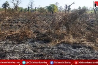 ಹೊಲಕ್ಕೆ ಬಿದ್ದ ಬೆಂಕಿ! 10 ಲಕ್ಷ ರೂಪಾಯಿ ನಷ್ಟ!