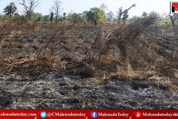 ಹೊಲಕ್ಕೆ ಬಿದ್ದ ಬೆಂಕಿ! 10 ಲಕ್ಷ ರೂಪಾಯಿ ನಷ್ಟ! 1 ಹೊಲಕ್ಕೆ ಬಿದ್ದ ಬೆಂಕಿ! 10 ಲಕ್ಷ ರೂಪಾಯಿ ನಷ್ಟ!