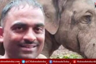 image_750x500_63f06cadb4c4c