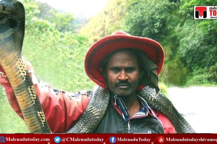 ಹಿಡಿದು ಬ್ಯಾಗ್​ನಲ್ಲಿಟ್ಟಿದ್ದ ನಾಗರ ಹಾವು ಕಚ್ಚಿ ಸ್ನೇಕ್​ ನರೇಶ್ ಸಾವು!