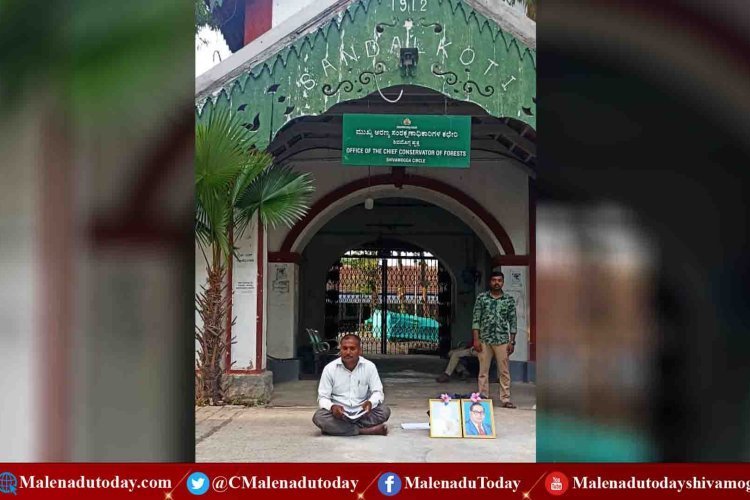 ಶಿವಮೊಗ್ಗ  ಮುಖ್ಯ ಅರಣ್ಯ ಸಂರಕ್ಷಣಾಧಿಕಾರಿಗಳ ಕಚೇರಿ ಎದುರು ಏಕಾಂಗಿ ಪ್ರತಿಭಟನೆ ಕಾರಣವೇನು?