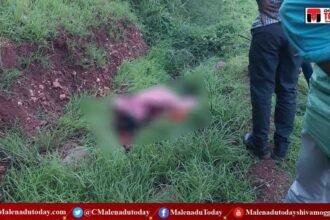 BREAKING NEWS/ ಶಿವಮೊಗ್ಗದಲ್ಲಿ ಮಹಿಳೆ ಮೇಲೆ ಚಿರತೆ ದಾಳಿ ಶಂಕೆ/ ಹೊಲದಲ್ಲಿಯೇ ಸಾವನ್ನಪ್ಪಿದ ಮಹಿಳೆ