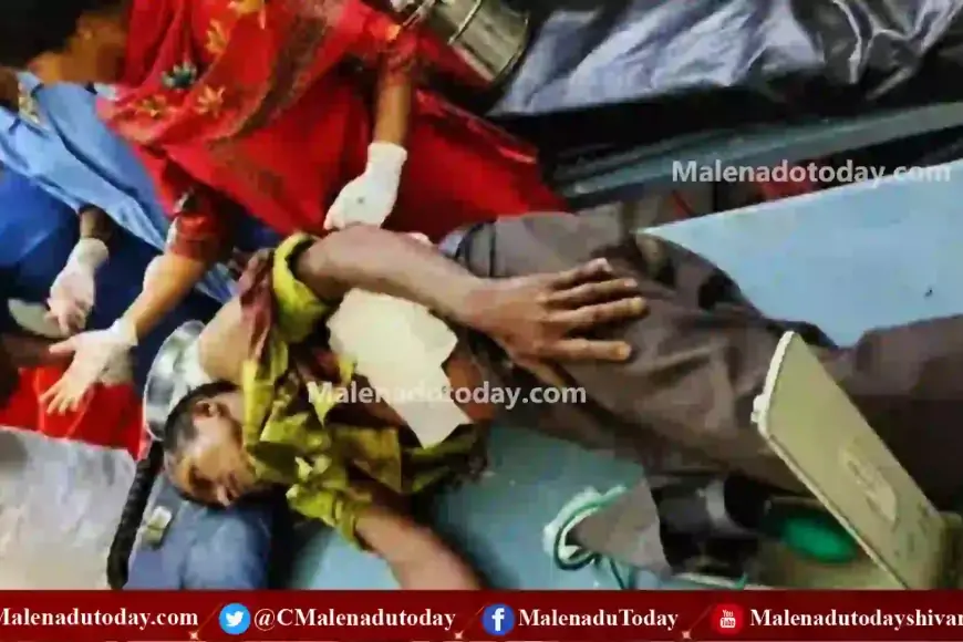 ನಡೆದುಕೊಂಡು ಹೋಗ್ತಿದ್ದವರ ಎದೆಗೆ ತಿವಿದ ಕಾಡುಕೋಣ! 1 ನಡೆದುಕೊಂಡು ಹೋಗ್ತಿದ್ದವರ ಎದೆಗೆ ತಿವಿದ ಕಾಡುಕೋಣ!