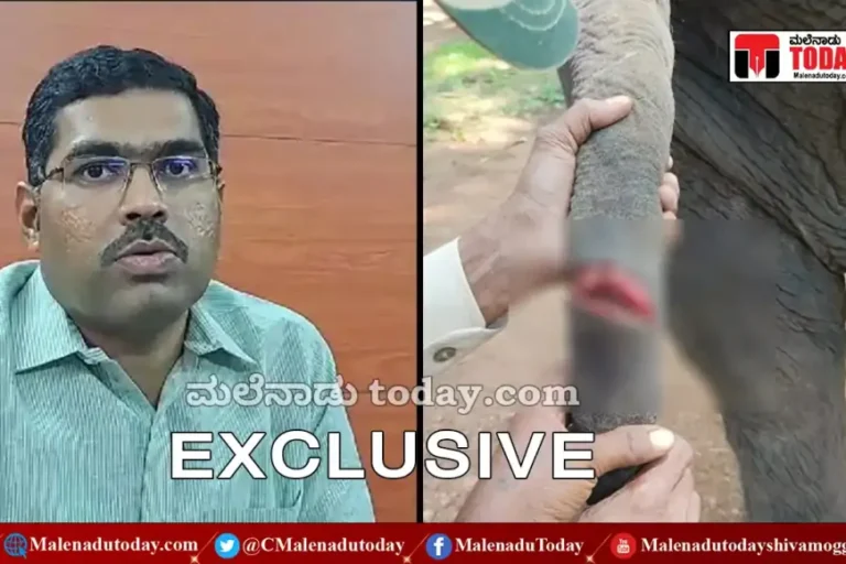 ಆನೆ ಬಾಲಕ್ಕೆ ಕತ್ತಿಯಿಂದ ಕಡಿದವರು ಯಾರು? | ಬಾನುಮತಿ ಆನೆ ವಿಚಾರದಲ್ಲಿ ಡಿಸಿಎಫ್ ಪ್ರಸನ್ನ ಕೃಷ್ಣ ಪಟಗಾರ್ ಹೇಳಿದ್ದೇನು?