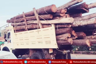 ಭಯಂಕರ ಮಾರೆಽ!  ನಾಟಗಳನ್ನ ಹೀಗೂ ಸಾಗಿಸ್ತಾರಾ?  ಎಂತಾರು ಆದ್ರೆ ಎಂಥಾ ಕಥೆ? PEOPLE TODAY