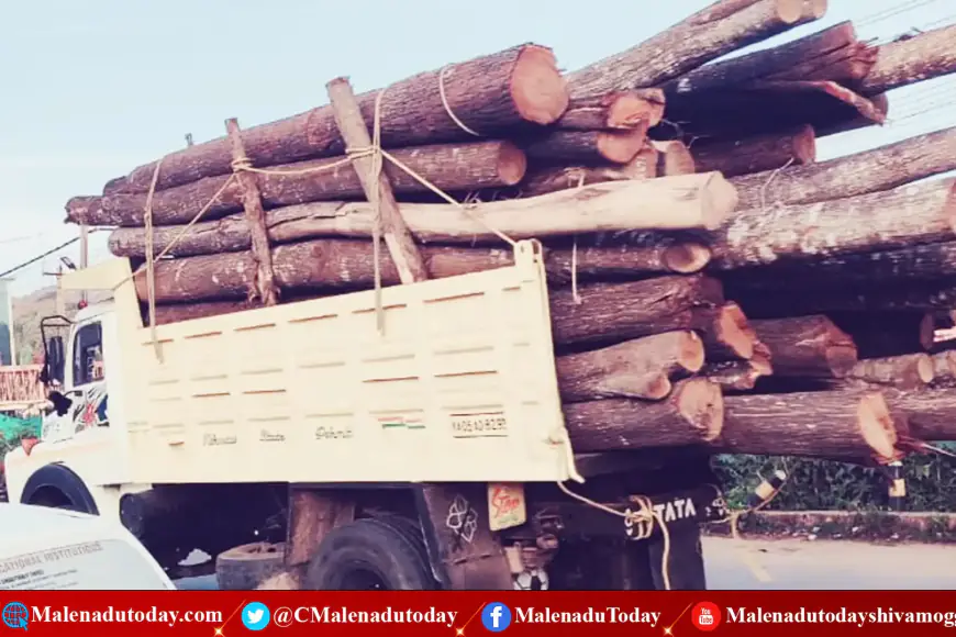 ಭಯಂಕರ ಮಾರೆಽ!  ನಾಟಗಳನ್ನ ಹೀಗೂ ಸಾಗಿಸ್ತಾರಾ?  ಎಂತಾರು ಆದ್ರೆ ಎಂಥಾ ಕಥೆ? PEOPLE TODAY