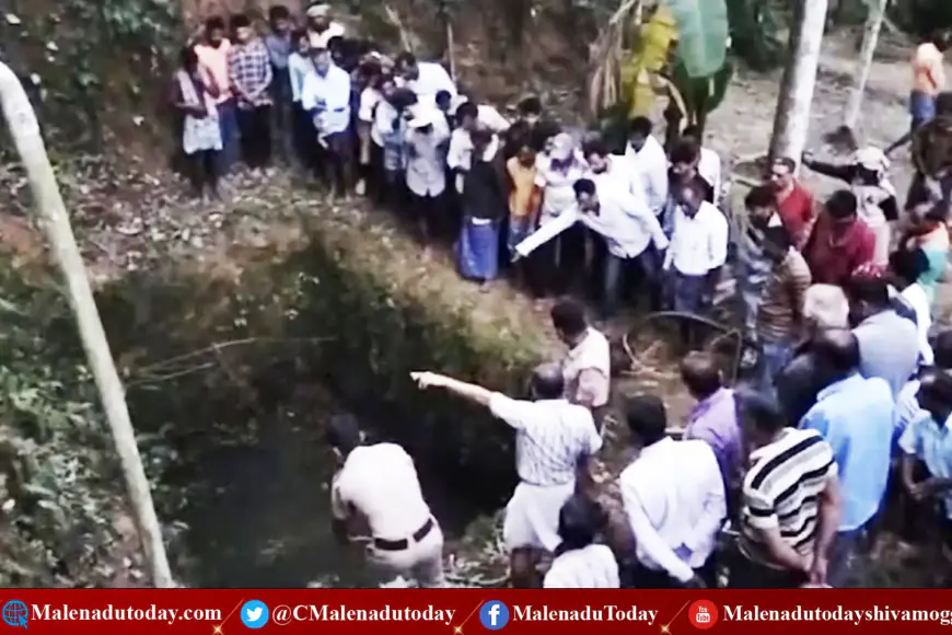 ತೋಟದ ಸಮೀಪ ಕೆಲಸ ಮಾಡುತ್ತಿದ್ದ ವೇಳೆ ನಡೆಯಿತು ಅಚಾನಕ್ ಘಟನೆ!