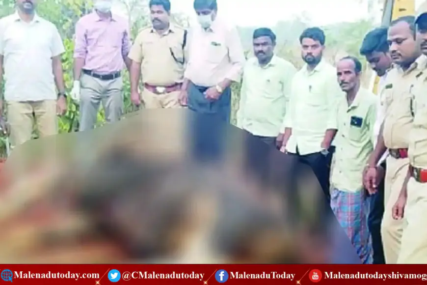 ಕೃಷಿಹೊಂಡಕ್ಕೆ ಬಿದ್ದ ಕಾಡುಕೋಣ! ಶಿವಮೊಗ್ಗ ಜಿಲ್ಲೆ ಸೊರಬ ತಾಲ್ಲೂಕುನಲ್ಲಿ ಘಟನೆ