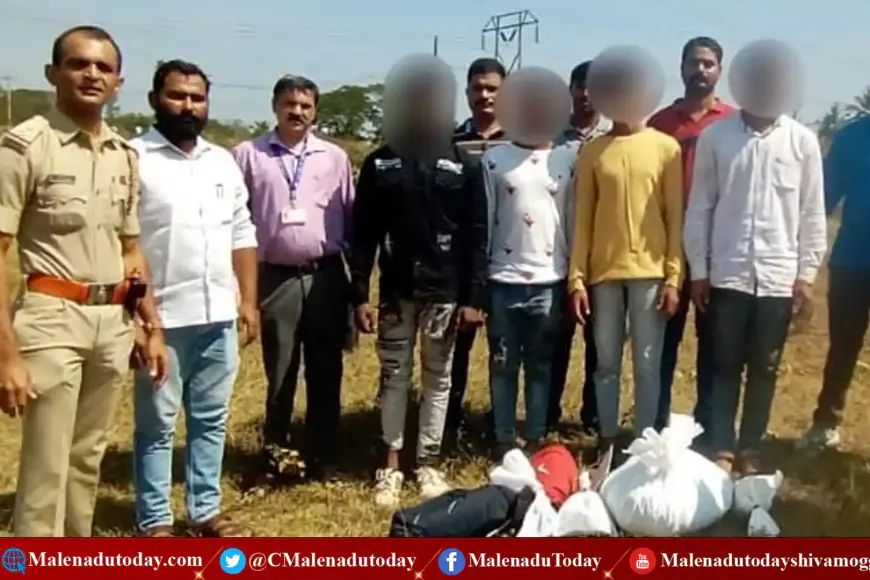 ಶುಗರ್ ಫ್ಯಾಕ್ಟರಿ ಬಳಿ ಗಾಂಜಾ ಮಾರಾಟ, ಸಿಇಎನ್​ ಪೊಲೀಸ್ ಸ್ಟೇಷನ್​ ಪೊಲೀಸರ ದಾಳಿ,  ಭದ್ರಾವತಿಯ ನಾಲ್ವರು ಅರೆಸ್ಟ್