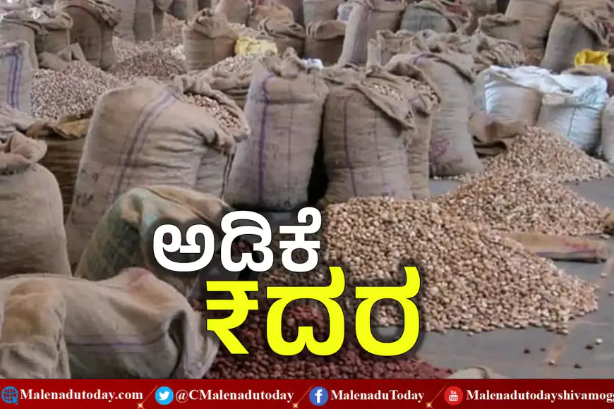 ಎಷ್ಟಿದೆ ಅಡಿಕೆ ದರ ! ಶಿವಮೊಗ್ಗ , ಸಾಗರ, ಶಿರಸಿ , ಸಿದ್ದಾಪುರ, ಯಲ್ಲಾಪುರ ಮಾರುಕಟ್ಟೆಯಲ್ಲಿ ಅಡಕೆ ರೇಟು ಎಷ್ಟಿದೆ
