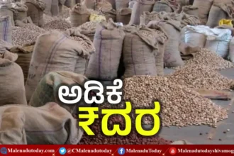 ಅಡಿಕೆ ರೇಟು ಎಷ್ಟು? ಯಾವ ಮಾರುಕಟ್ಟೆಯಲ್ಲಿ ಎಷ್ಟಿದೆ ಅಡಿಕೆ ದರ!