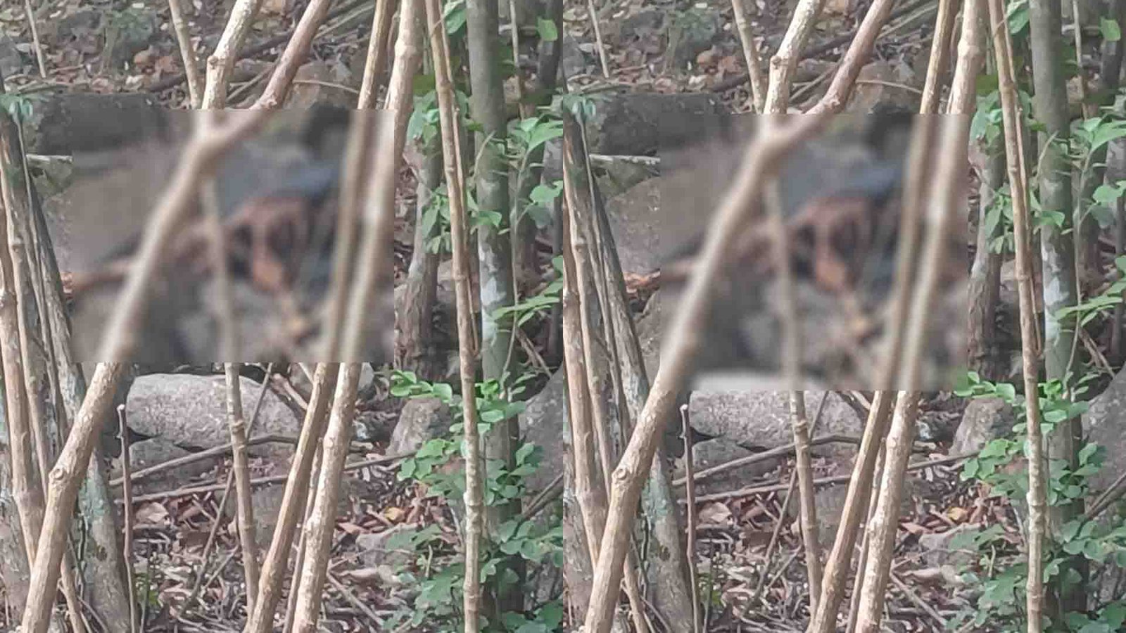 kundadri hills incident