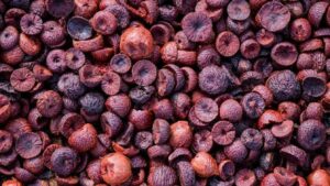 ಮಾರುಕಟ್ಟೆ ಎಪಿಎಂಸಿಗಳ ಮಾಹಿತಿ Shivamogga Arecanut Price, ಶಿವಮೊಗ್ಗ ಅಡಿಕೆ ಧಾರಣೆ