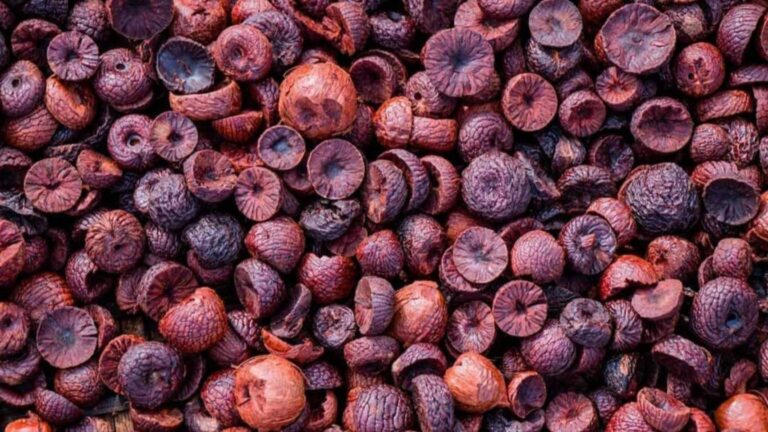 ಮಾರುಕಟ್ಟೆ ಎಪಿಎಂಸಿಗಳ ಮಾಹಿತಿ Shivamogga Arecanut Price, ಶಿವಮೊಗ್ಗ ಅಡಿಕೆ ಧಾರಣೆ