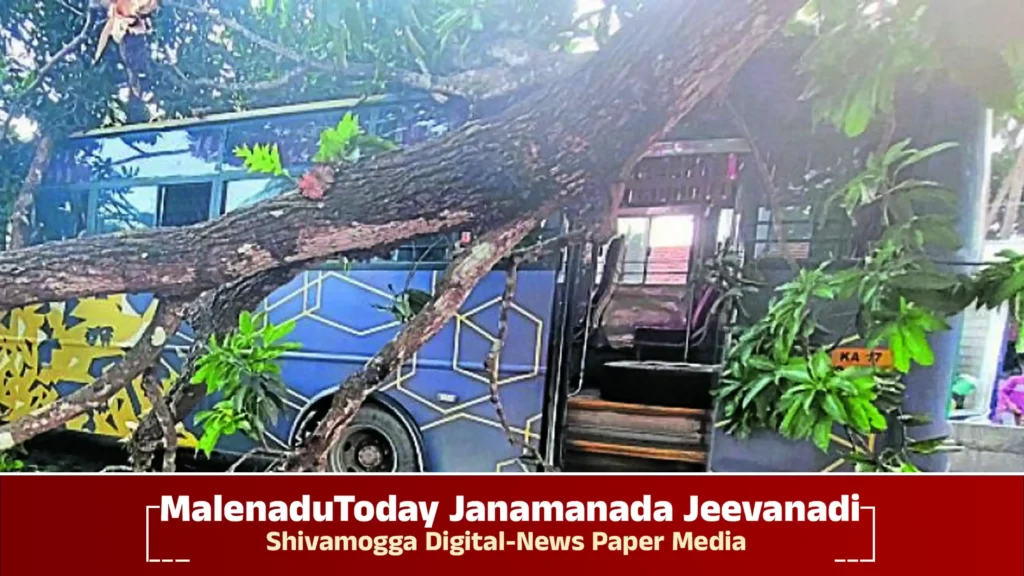 Tree fell on bus