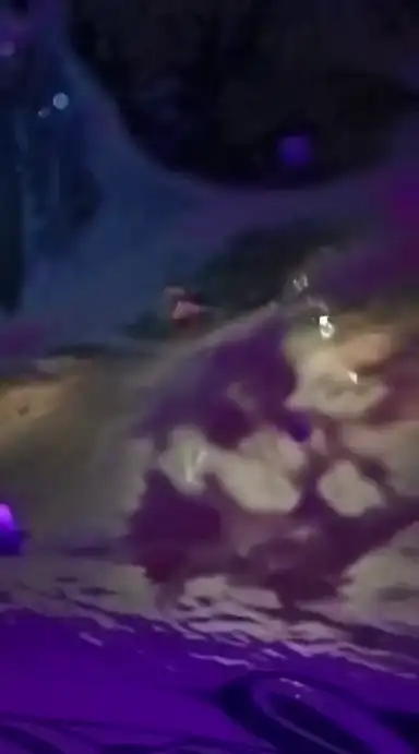 throwing eggs at a vehicle