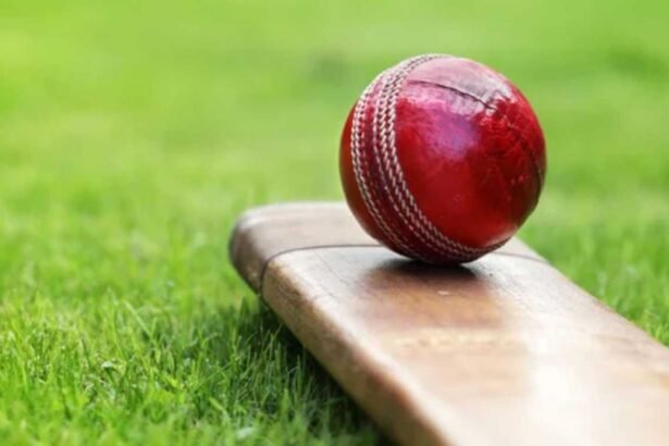 indian cricket team
