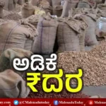 ಅಡಿಕೆ ಮಾರುಕಟ್ಟೆ channagiri arecanut price apmc arecanut price shivamogga ಶಿವಮೊಗ್ಗ ಅಡಿಕೆ ರೇಟ್ today ಅಡಿಕೆ ದರ ಅಡಿಕೆ ಮಾರುಕಟ್ಟೆ ಶಿವಮೊಗ್ಗ ಮಾರುಕಟ್ಟೆ 