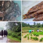 malenadu : ಹೇಗಿರುತ್ತೆ ಮಲೆನಾಡ ಜನಜೀವನ