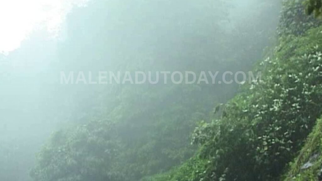 total rain details imd
