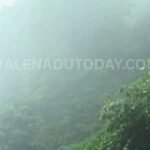 total rain details imd