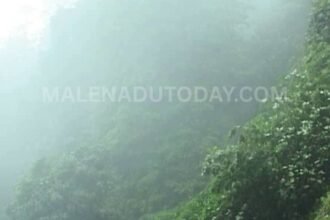 total rain details imd