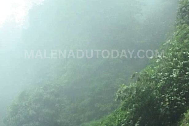 total rain details imd
