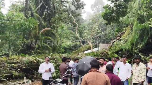 tree fell at agumbe ghat