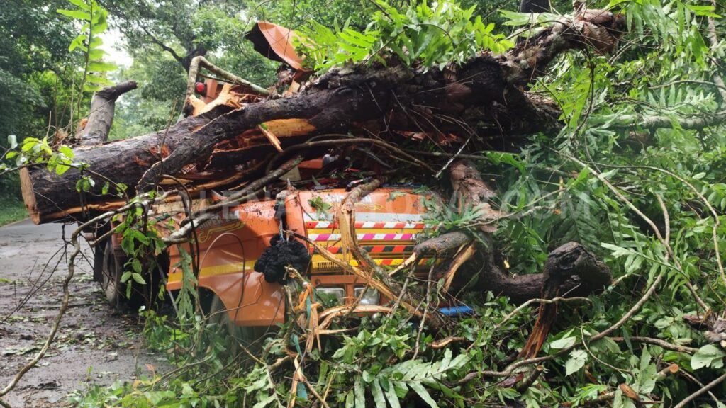 Two people were seriously injured when a large tree fell on a canter vehicle near Karjikoppa, close to Ulavi in Soraba Taluk.
