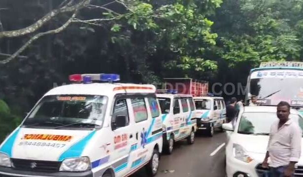 A huge tree has fallen across the road near the Agumbe Ghati Forest Check Post, obstructing traffic.