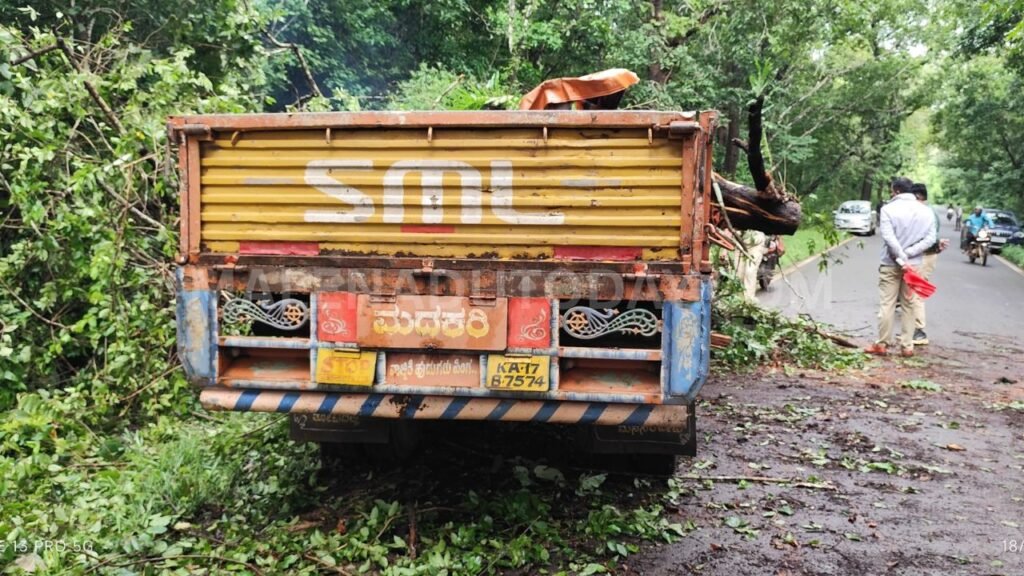 Two people were seriously injured when a large tree fell on a canter vehicle near Karjikoppa, close to Ulavi in Soraba Taluk.