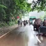 rain in karnataka today live A huge tree has fallen across the road near the Agumbe Ghati Forest Check Post, obstructing traffic.