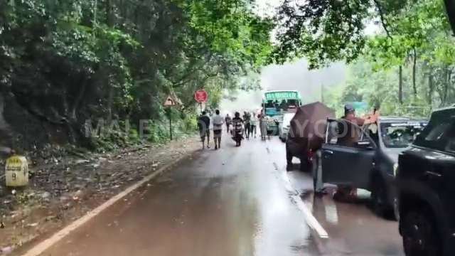 A huge tree has fallen across the road near the Agumbe Ghati Forest Check Post, obstructing traffic.