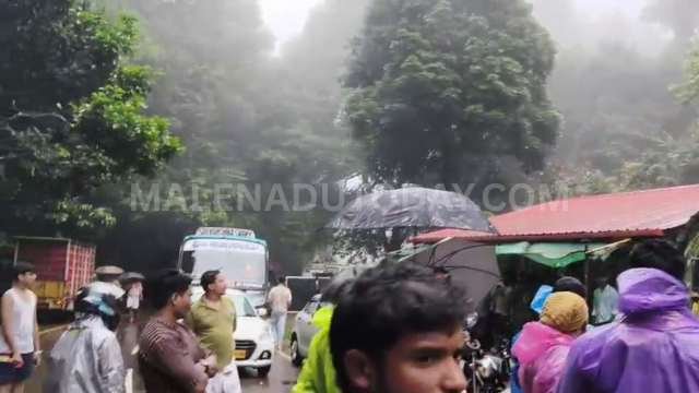 A huge tree has fallen across the road near the Agumbe Ghati Forest Check Post, obstructing traffic.