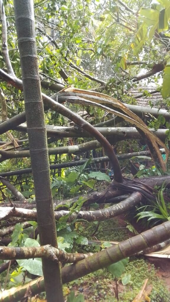 Shivamogga Rains , Hosanagara Floods , Thirthahalli Trees Fall , Agumbe Road Blocked , Monsoon Update Karnataka , Haneya Bus Incident ,Power Line Falls, Thirthahalli Tree Fall,Agumbe Road Block