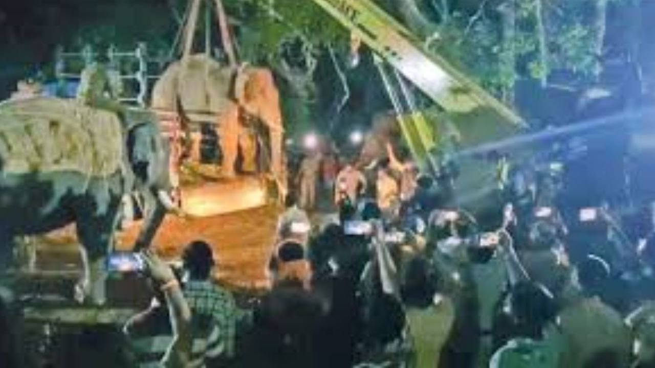 radio color elephant siddapura capture
