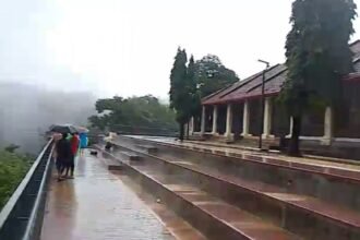 zipline in jog falls