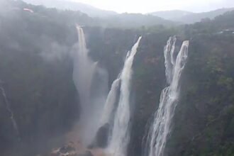jogfalls news today