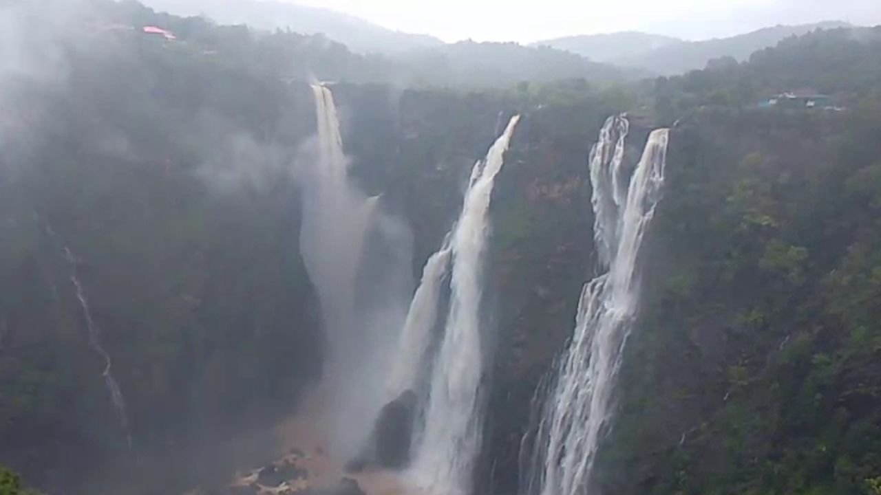 jogfalls news today