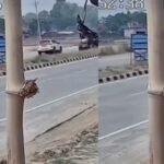 car bike accident