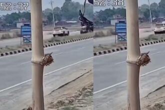 car bike accident