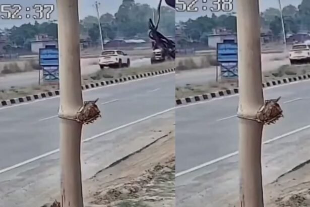 car bike accident