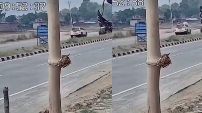 car bike accident