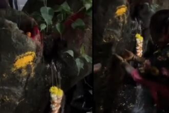 today viral video :